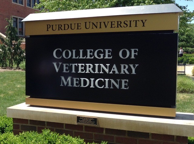 purdue emergency vet