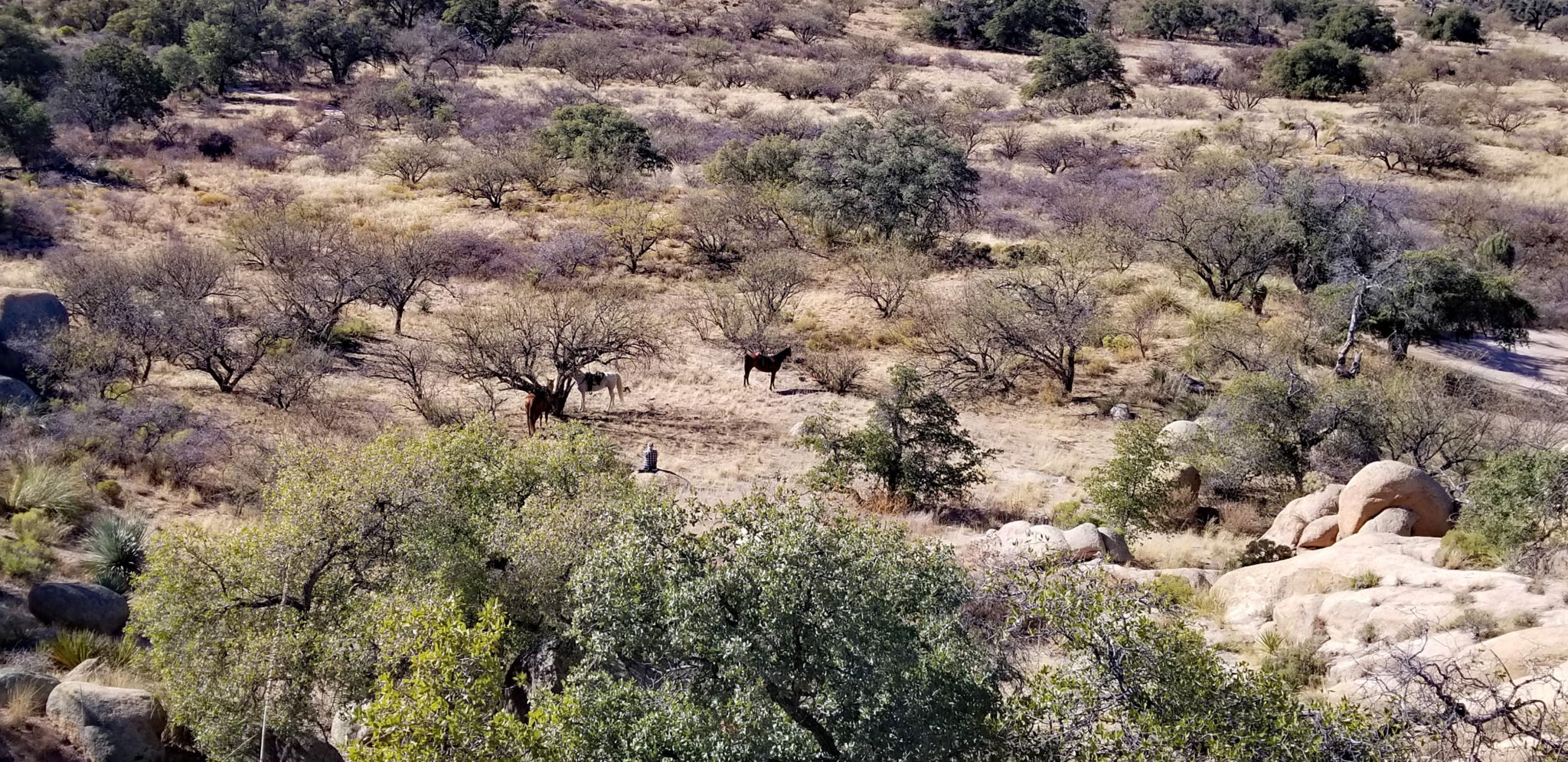 Council Rocks in Saint David, Arizona — ID MyHorse