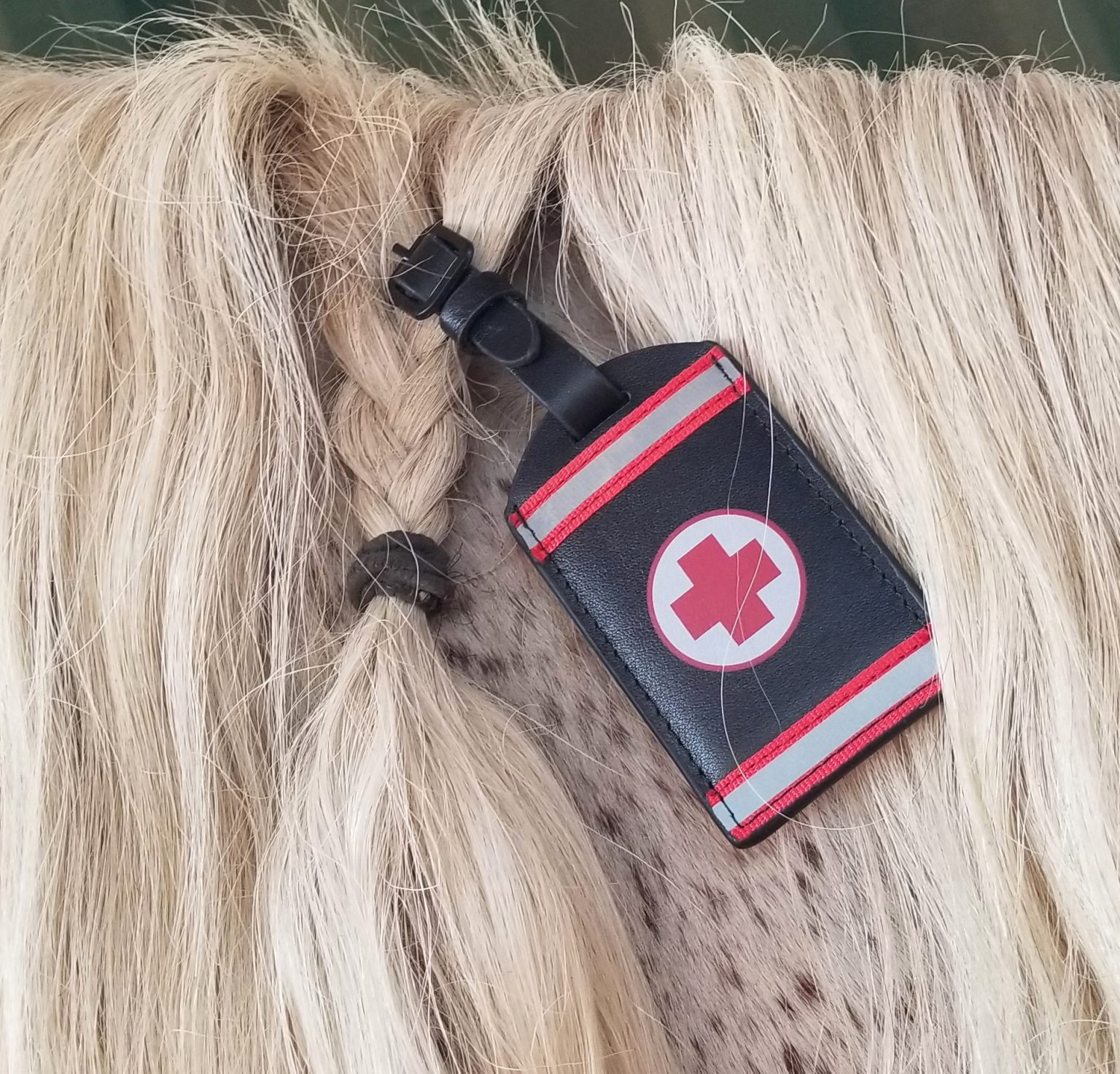 How To Braid Into The Mane ID MyHorse