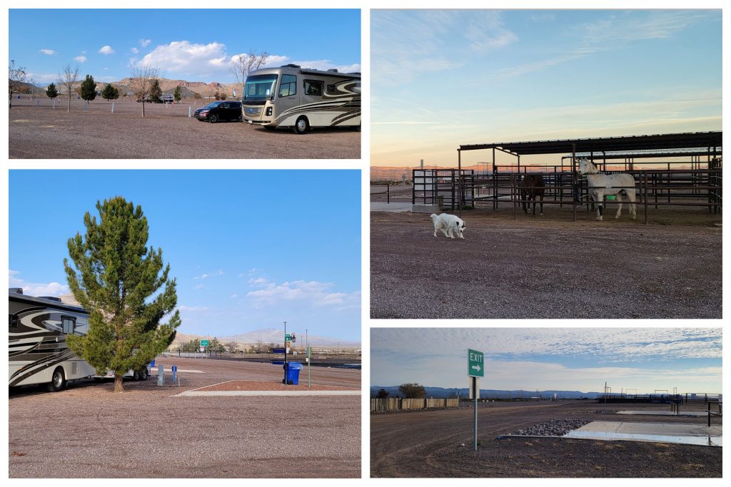 The Socorro Fairgrounds and Onward Ho to Awesome Arizona — ID MyHorse