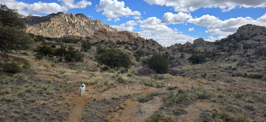 Coronado National Forest