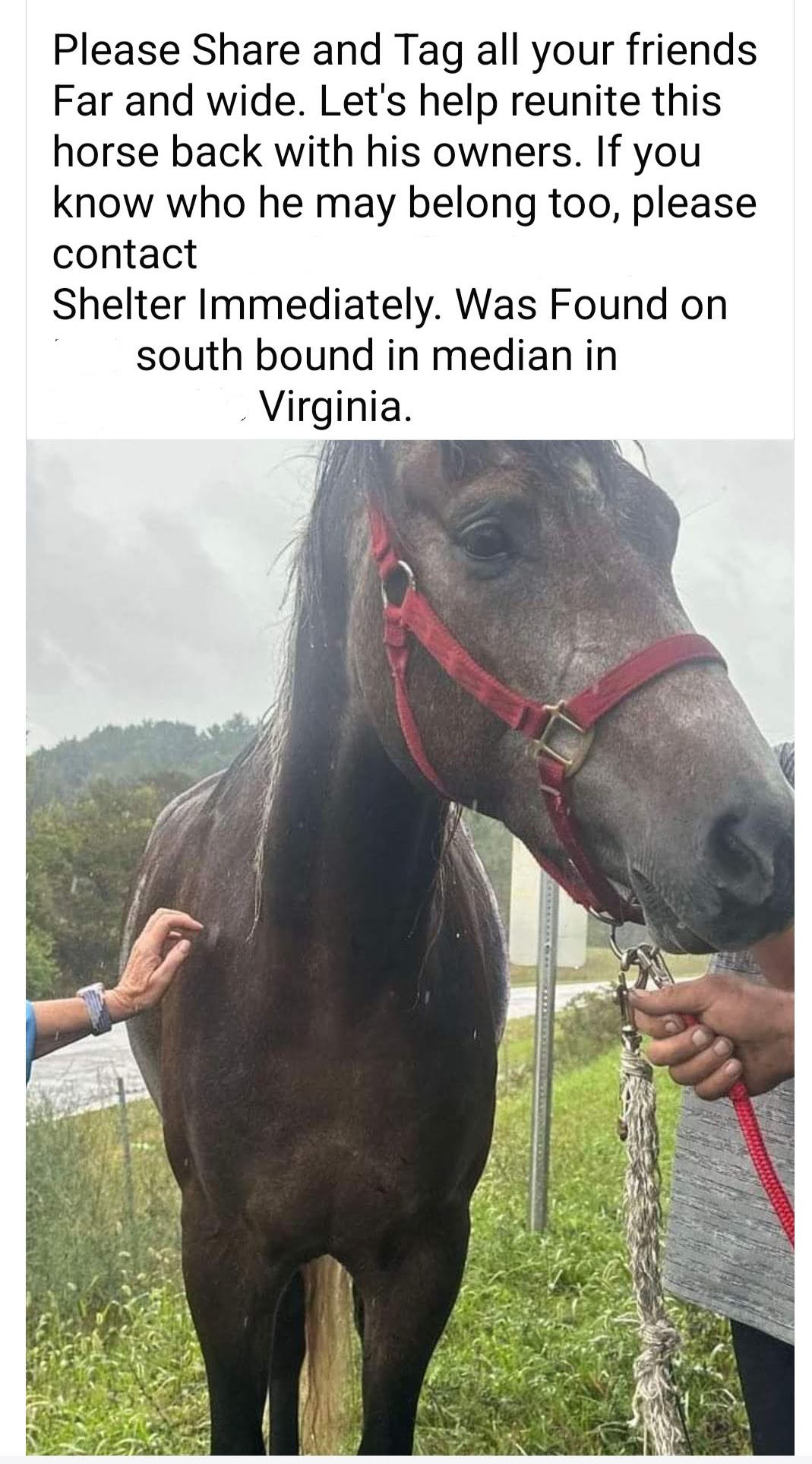 Horse ID