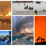 FIre Flood